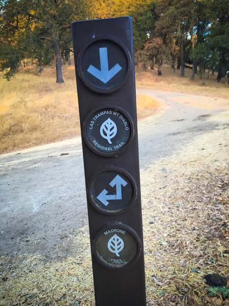 Sign showing the intersection with the Madrone Trail