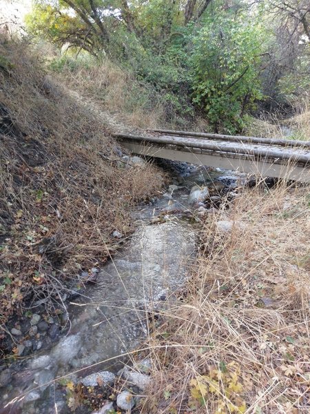 Creek crossing along the Burnham Loop Trail