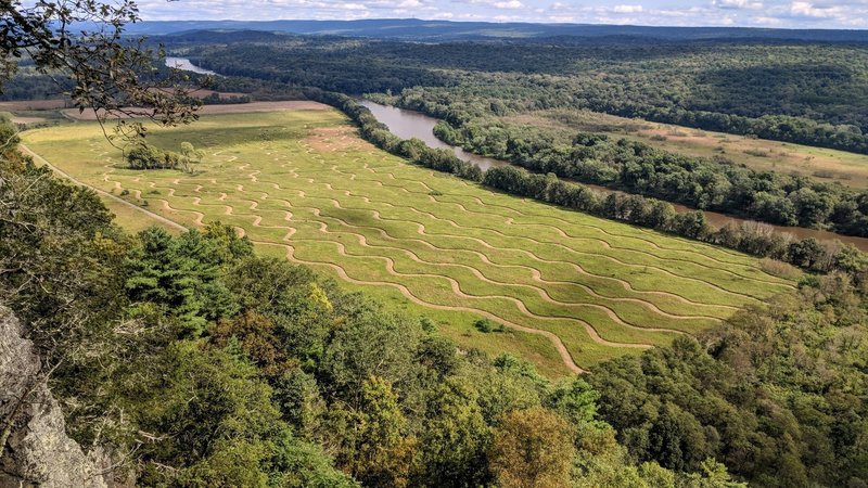 Interesting mowing patterns in a field alongside the Delaware River.