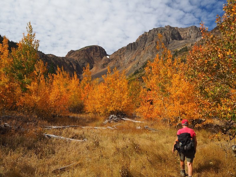 Fall color in Lundy Canyon