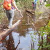 Carefully crossing Terrace Pond outflow on logs