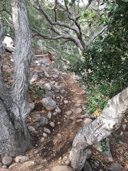 steep rocky trail
