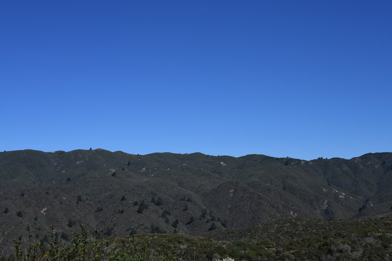 Rancho Corral de Tierra, part of Golden Gate National Recreation Area, preserves the green hills above Moss Beach and El Granada.
