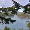 Get an bird's eye view of Deception Pass, from the top of the trees.