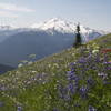 Glacier Peak from Miner's Ridge