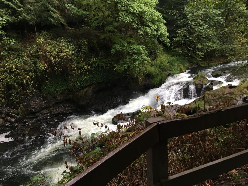 This is a great place to watch the salmon run.