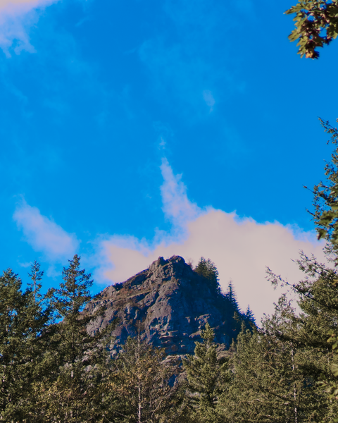 The iconic Rattlesnake Ledge ... a view from near the trailhead