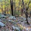 Typical trail terrain in between the many viewpoints along the AT in northern New Jersey.