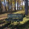 Bench overlooking Founders Pond