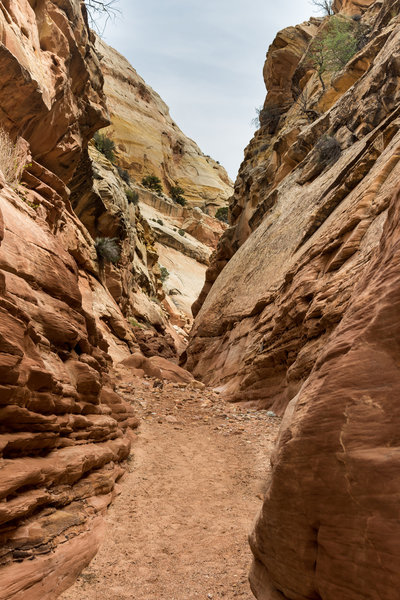 Sheets Gulch as it enters Capitol Reef National Park