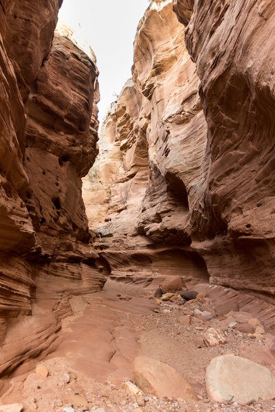 Slot section within Sheets Gulch