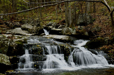 Rose River Falls Trail Map Rose River Loop Hiking Trail, Stanley, Virginia