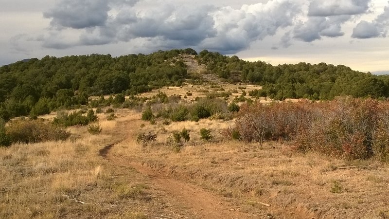 View from junction of Gnasty and Blue Ribbon Trails.