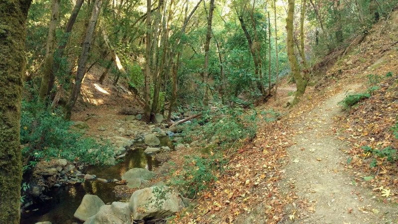 Uvas Creek runs next to Uvas Creek Trail.
