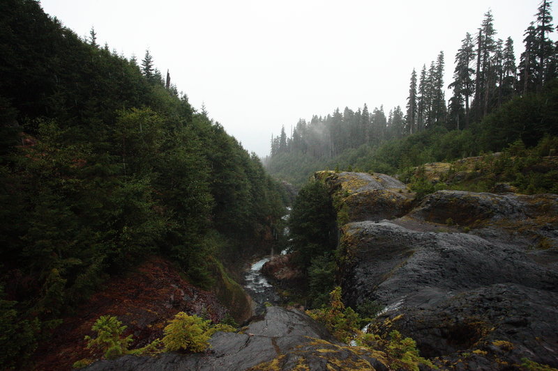 Lava Canyon Bridges/Ladders Loop 184A Running Trail, Amboy, Washington