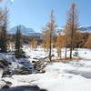 Larch meadows and creek along the trail to Healy Pass.