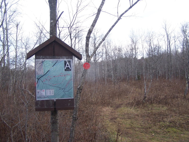 Series of Trails At Begining of NY 23 / Elm Ridge Trail