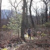 This picture is in the middle of Beautiful Trail. It was mostly flat with a few rocks. At the one end of the trail there was an outcropping of rocks with a pretty view.