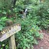 Wildcat Falls