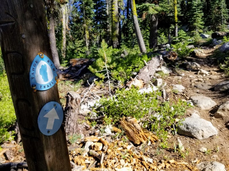 Tahoe Rim Trail sign