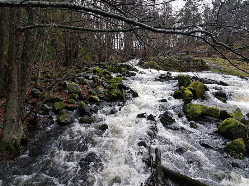 Some of the rapids of Nyfors.