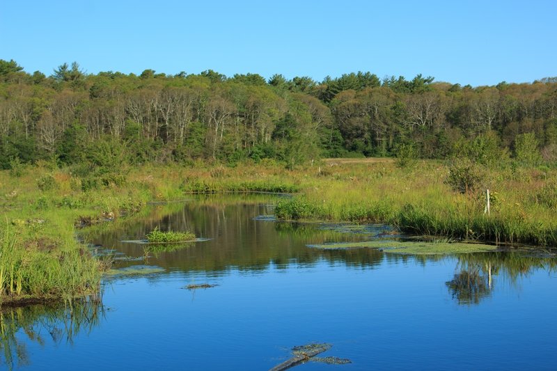 Mass Audubon Tidmarsh Wildlife Sanctuary