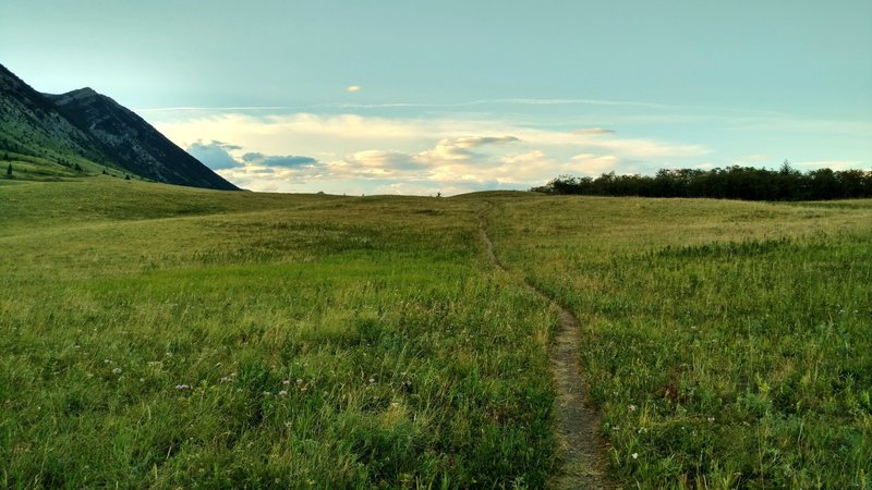 The prairies meet the mountains along Horseshoe Basin Trail