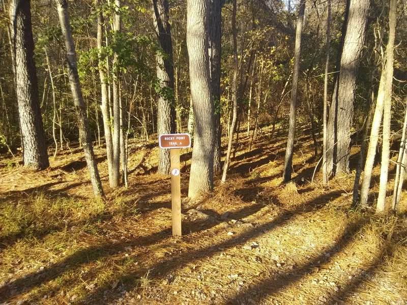 Trailhead for Rocky Point