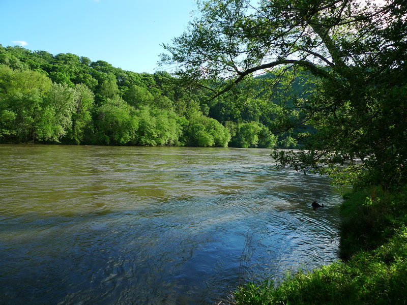 French Broad River
