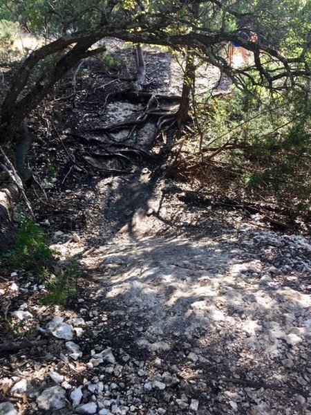 Another example of the Double Down section of the Deception Trail.