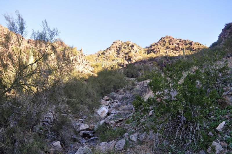 Along the Mohave Connector Trail 200, you look up to some rugged terrain without having to deal with it.