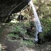 You can stay dry walking under and behind the 40 foot high Moonshine Falls which is rare.