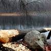 The Jefferson Township, NJ beavers were hard at work over Thanksgiving weekend.