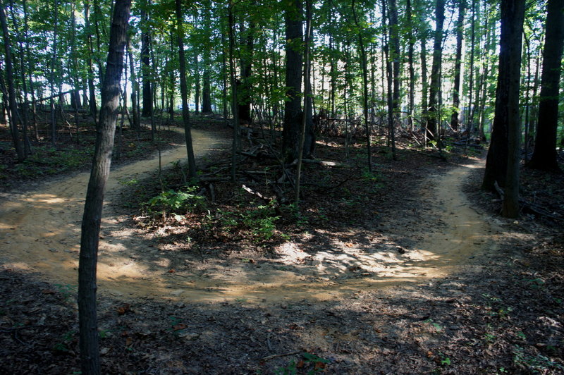 Tight turns on the trails at Lake Fairfax Park.