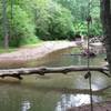 A rope swing and swimming hole if your looking for a cool down option during your ride.