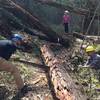 Taking a crosscut saw to the log fall on Buck Creek trail