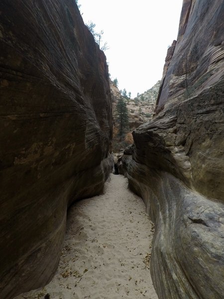 A little slot canyon off to the left of the trail.