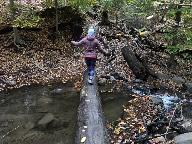 Fun and easy stream crossing along the Melvin C. Hazen trail, Nov. 2018.