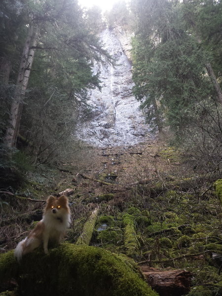 Scrat, enjoying the waterfall.