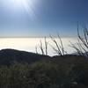 View from San Gabriel Peak