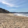The wide open beach at Fort Ord Dunes State Park