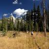 Crossing a meadow along the Cathedral Fork Trail