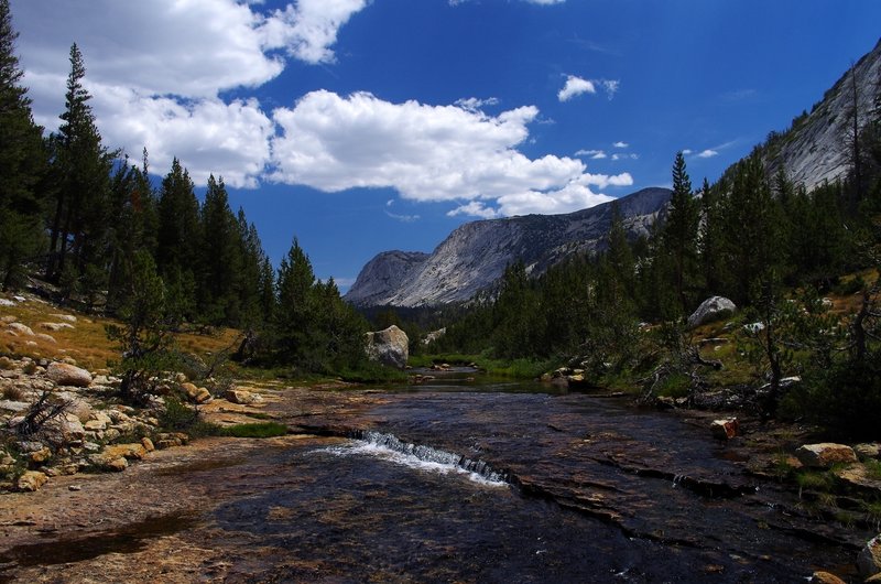 Looking up Fletcher Creek