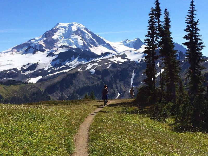 mount baker hiking