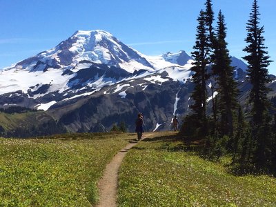 are dogs allowed in mt baker wilderness