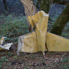 Airplane wreckage - tail section