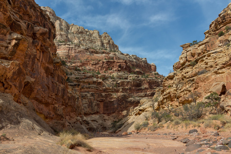 Layered sandstone from different ages around every turn in Lower Spring Canyon.