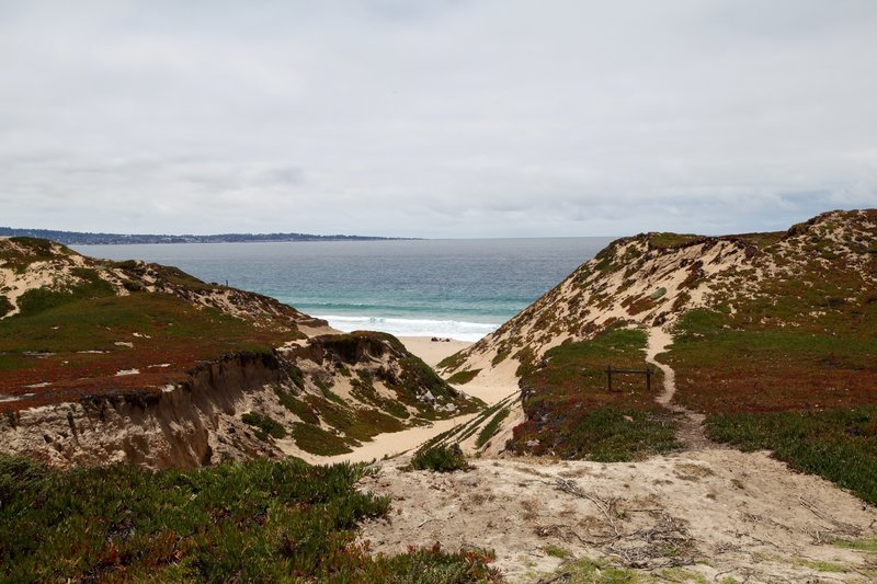 Fort Ord Dunes