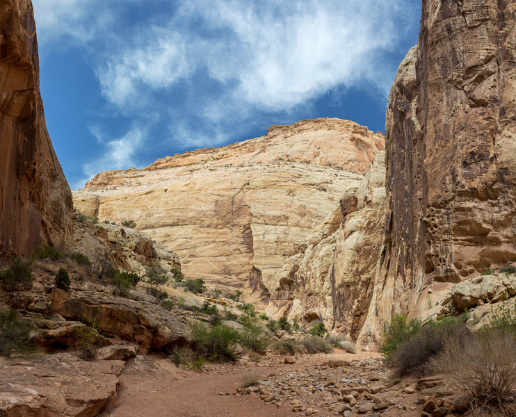 Massive Navajo Sandstone walls in the narrows of Grand Wash