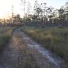 Long Pine Key Trail